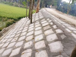 TTS Project Description: Road & Bridge Renovation Works for LGED 11